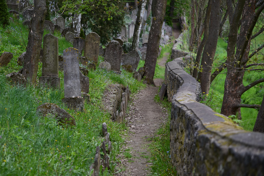Třebíč - Cmentarz Żydowski - ścieżka przy murze