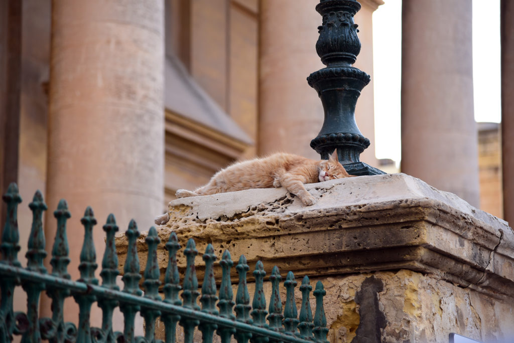 Valletta - kot na ogrodzeniu Prokatedry św Pawła