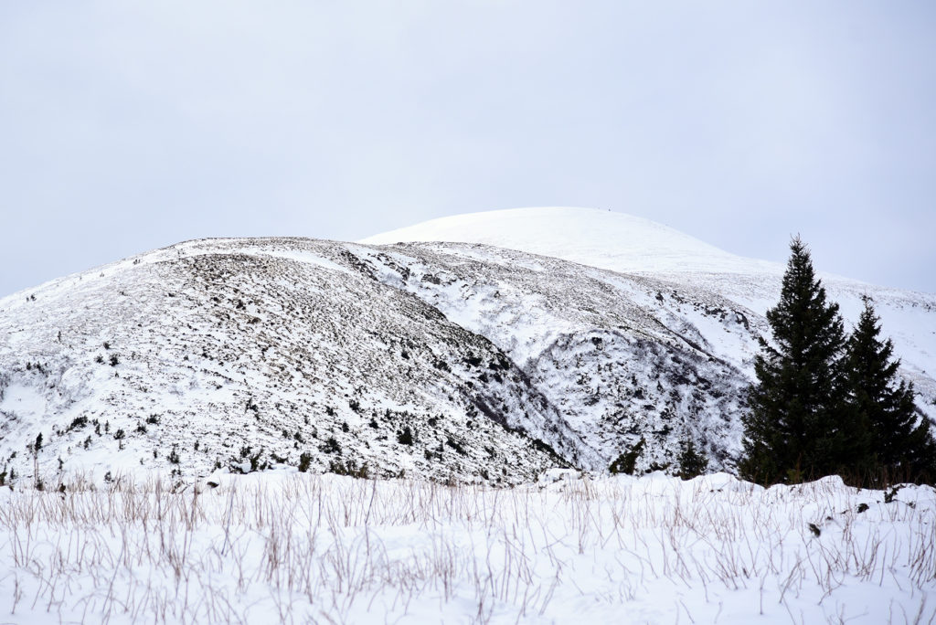 Howerla - szczyt w całości pokryty śniegiem