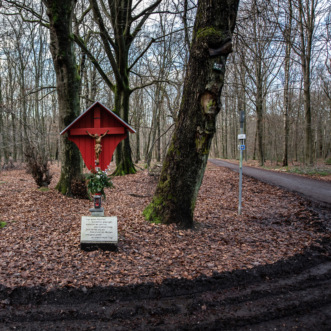 Przydrożny Krzyż w lesie - Vaalserberg 